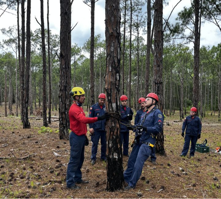 Corpo de Bombeiros Militar de SC realiza treinamento de técnicas e táticas de corte de árvores para efetivo administrativo da SSP