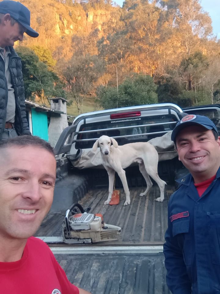 Bombeiros realizam resgate de cão preso em penhasco de 50 metros em Bocaina do Sul