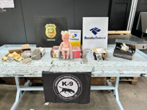 Polícia Civil apreende drogas dentro de boneca na Capital
