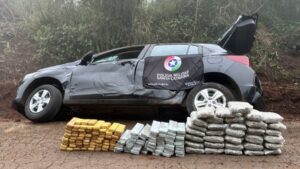 Polícia Militar registra recorde de apreensões de drogas nas rodovias estaduais no primeiro semestre
