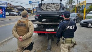 Quase 100 kg de skunk são apreendidos no Sul do estado