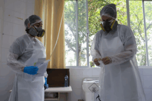 Polícia Científica de Santa Catarina atua em casos de crimes contra animais