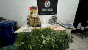 Mais de 60 kg de drogas e dois mil comprimidos de ecstasy são apreendidos em Joinville