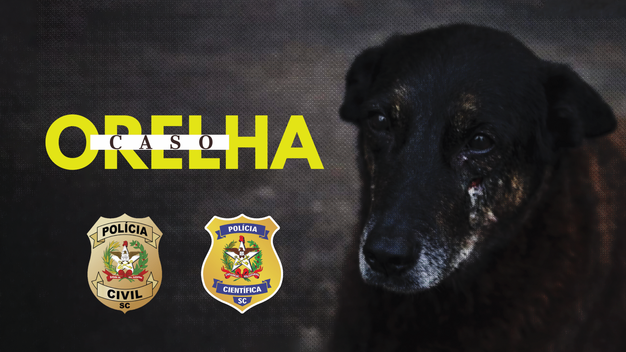 Polícia Civil conclui investigação sobre morte do Cão Orelha e maus-tratos ao Cão Caramelo e pede internação de adolescente