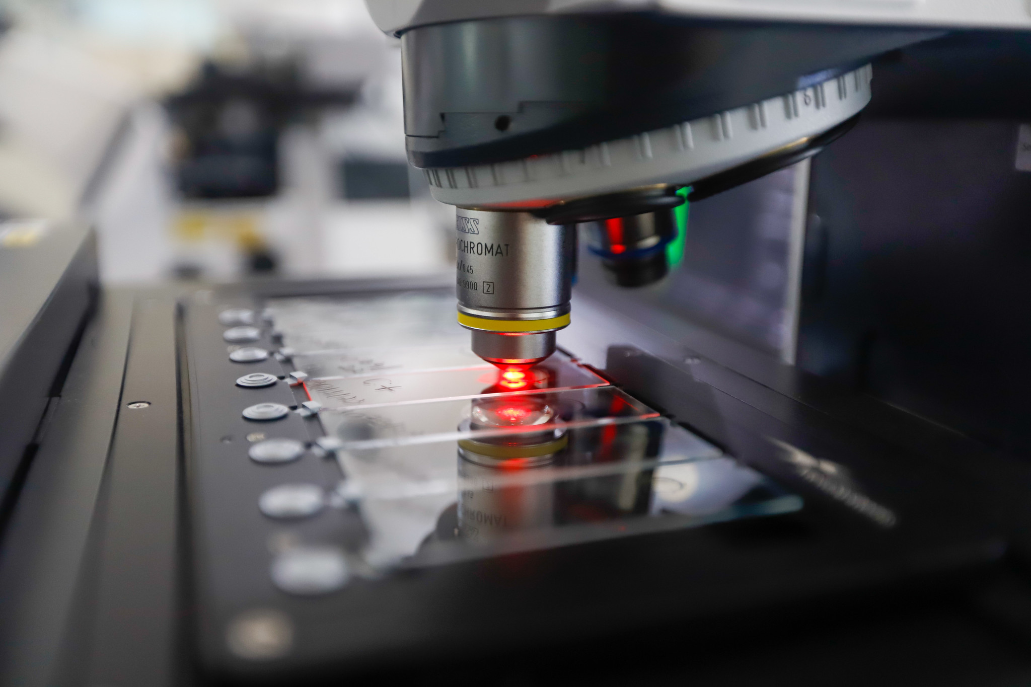 Anatomopatologia Forense: a ciência que revela respostas além do visível