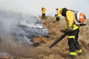 Em Santa Catarina, ocorrências com fogueiras crescem 61% e CBMSC alerta para chegada das festas juninas